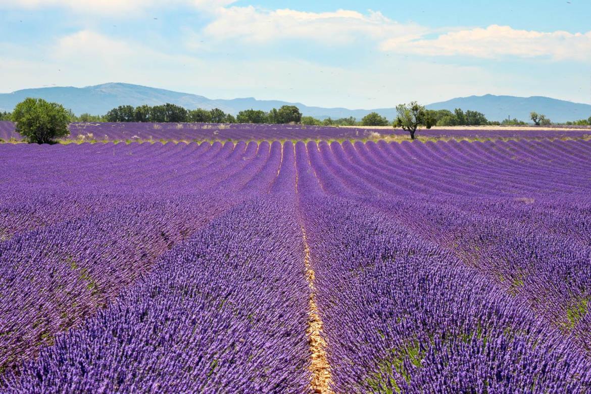 Roulotte Bohemian Lover In Provence, Valensole Exterior photo
